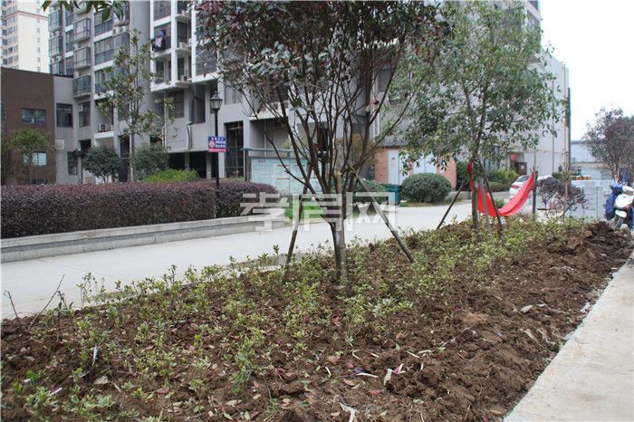 香港城·裕華苑?