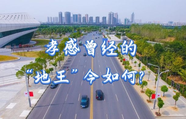 房?jī)r(jià)只能賣(mài)個(gè)地價(jià)？孝感曾經(jīng)的“地王”今如何?