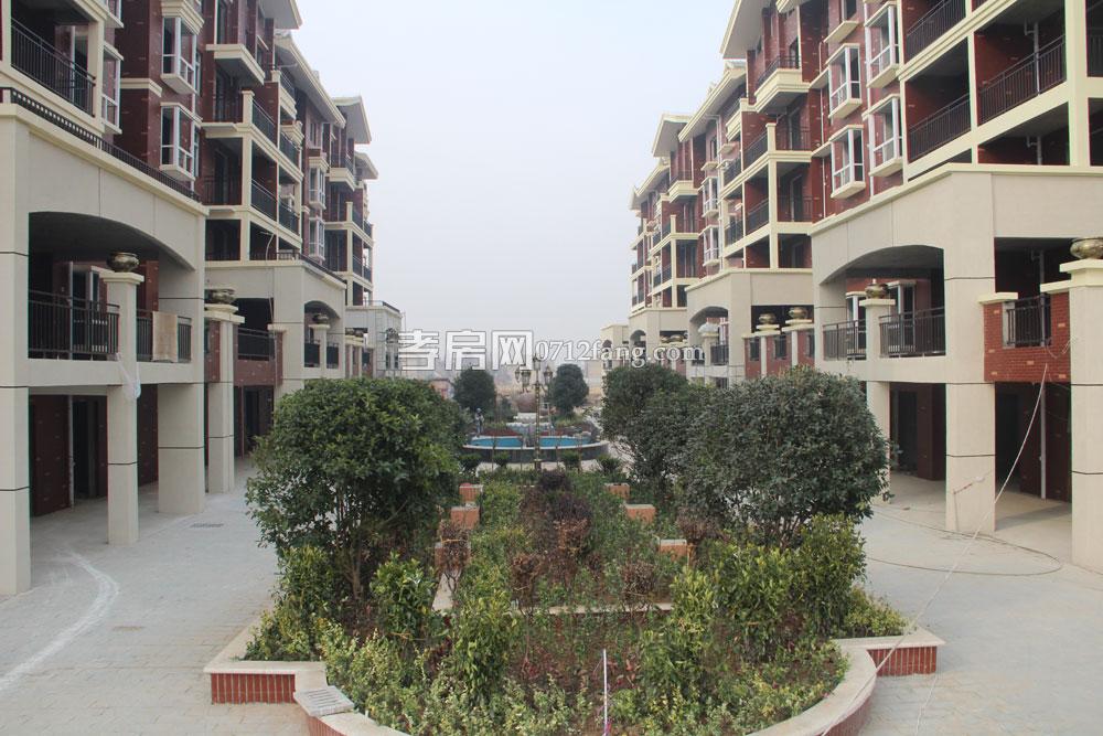 小區(qū)實(shí)景