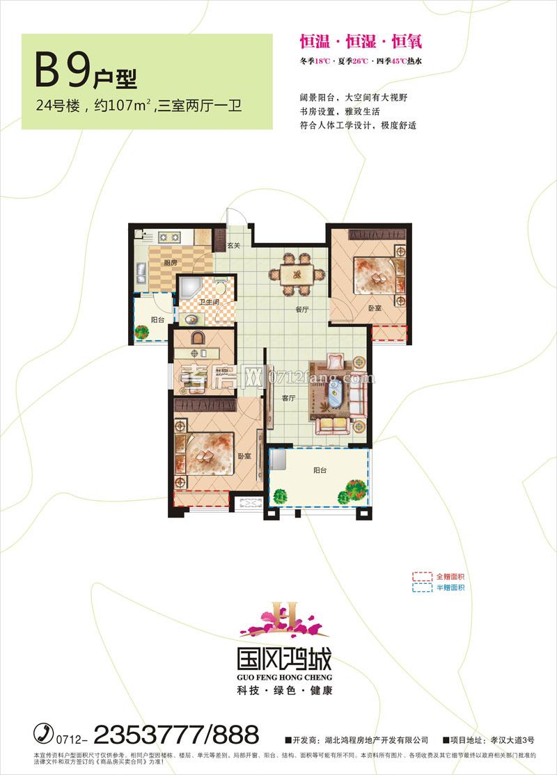 國風(fēng)鴻城-B9戶型