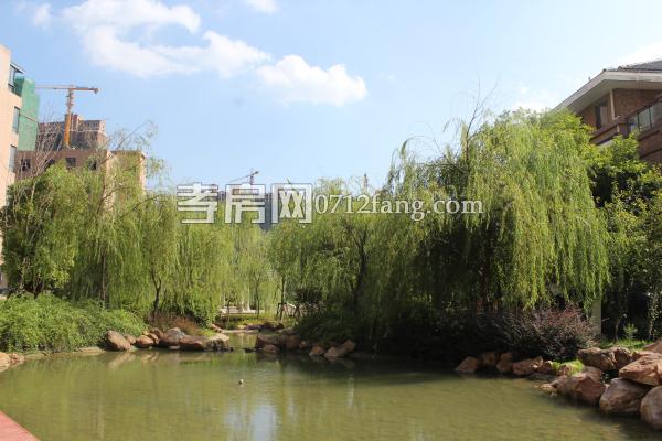 中建·國際花園二期（尚都）實(shí)景圖