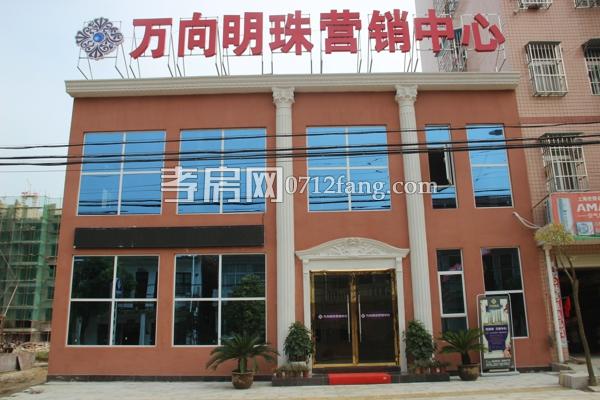 萬向明珠實(shí)景圖