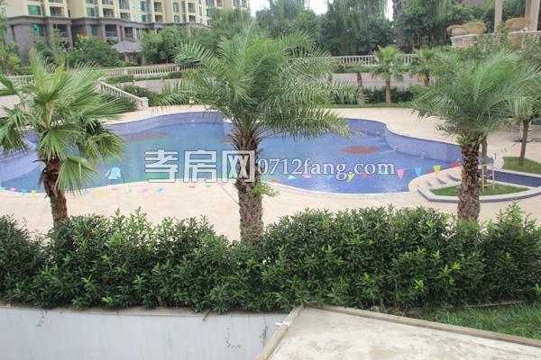 乾坤豪府小區(qū)綠化