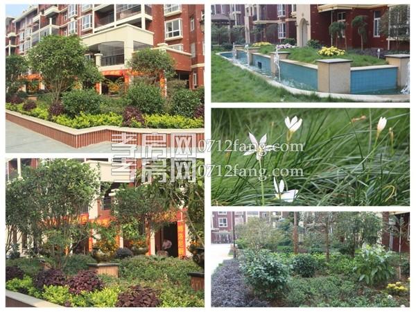 英倫風(fēng)情11月17日