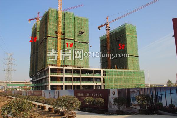 1、2、5#樓11月進(jìn)度