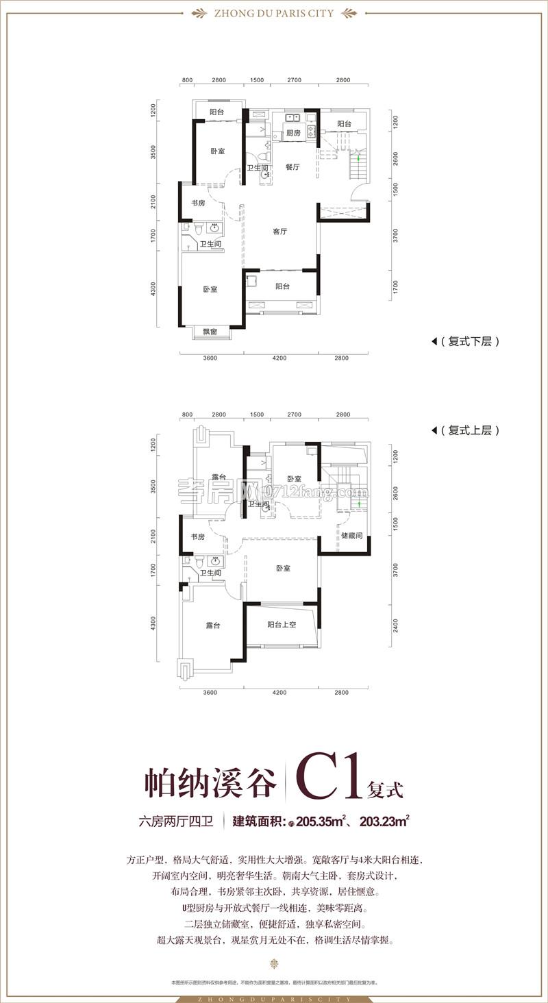 中都巴黎城C1復式戶型圖
