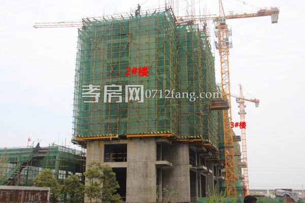 香港城·裕華苑進(jìn)度