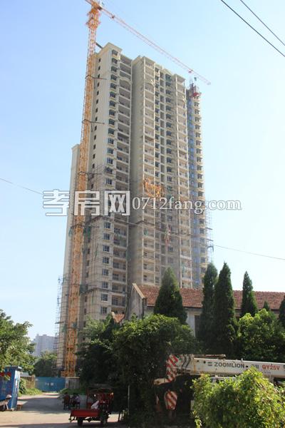 金都·九龍城進(jìn)度情況