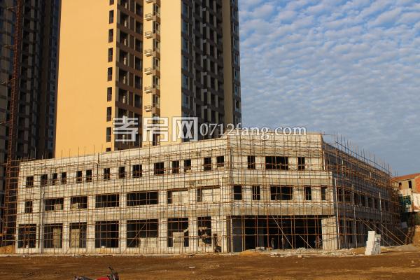 萬錦城進度實景圖