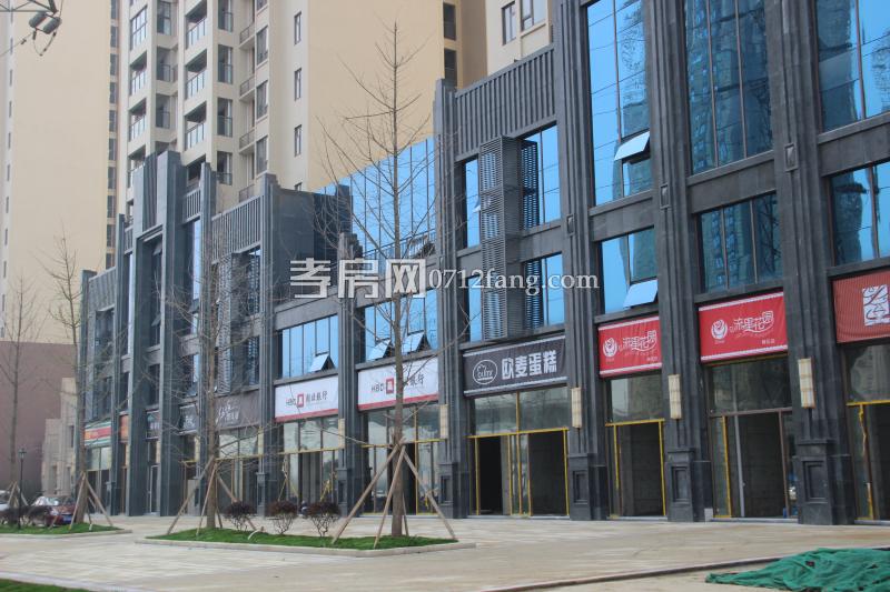 華耀天城小區(qū)綠化