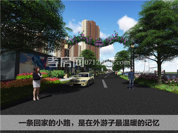 小區(qū)主干道