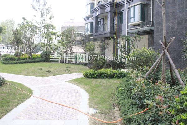 金都·九龍城小區(qū)綠化