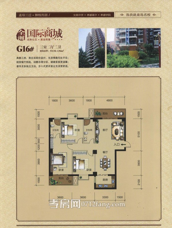 全洲國(guó)際商城G16棟戶型圖