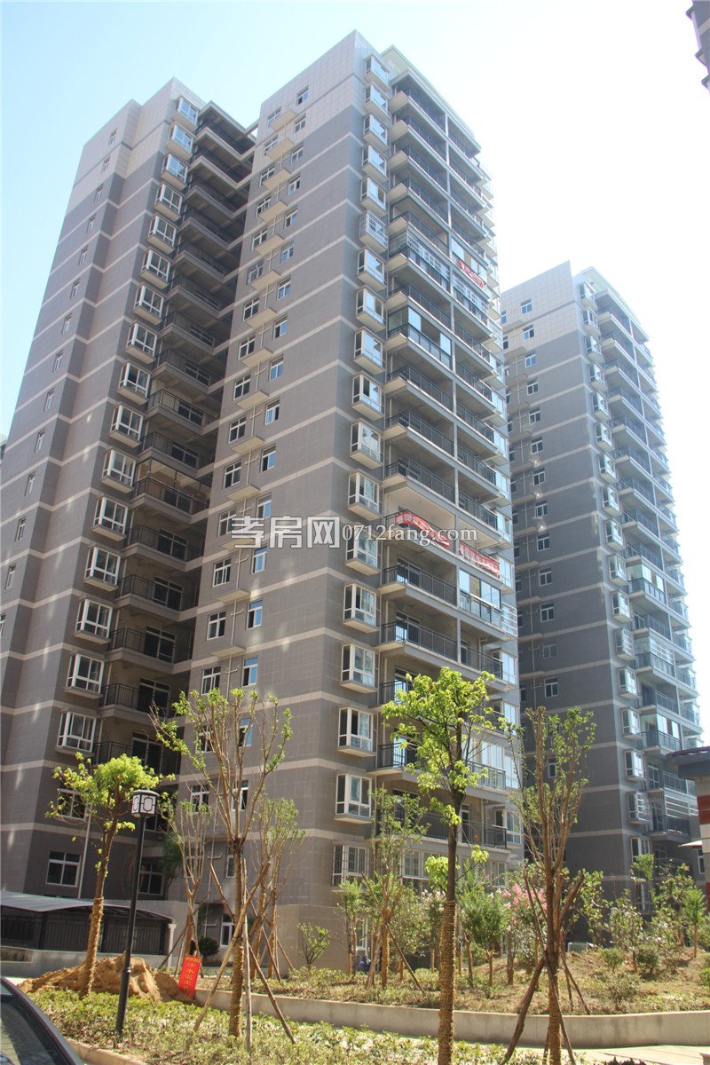 金一華府二期實景綠化