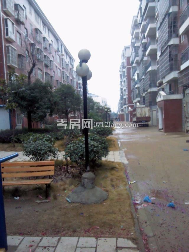 107國(guó)道旁，位置好，南北通透，采光好，急售