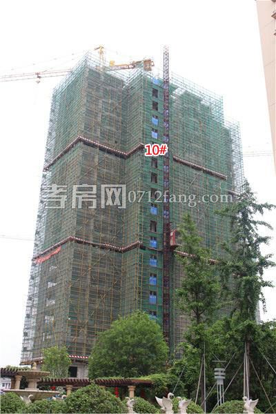 20180505145100410131kxpkv.jpg IMG_0096.JPG..jpg