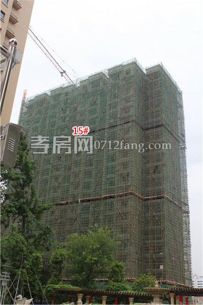 2018050514511747289zlh2xi.jpg IMG_0097.JPG..jpg