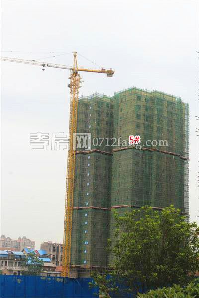 20180505145550361214evvew.jpg IMG_0104.JPG..jpg