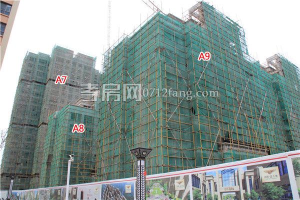 2018050909370070044tdkpmm.jpg 7-9.jpg