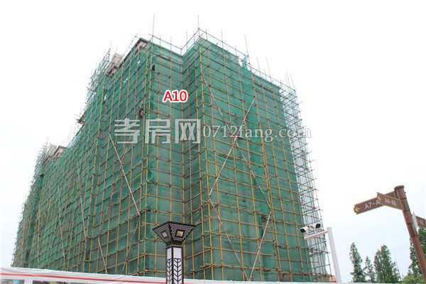 2018050909381645914mhgtas.jpg 10.jpg