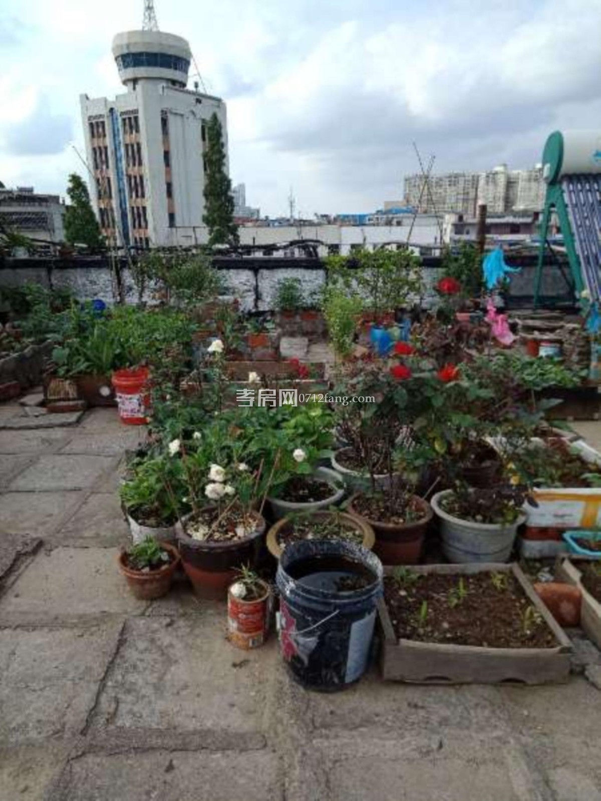 給小孩一個未來實小文昌 電信小區(qū)3室2廳1衛(wèi)101平