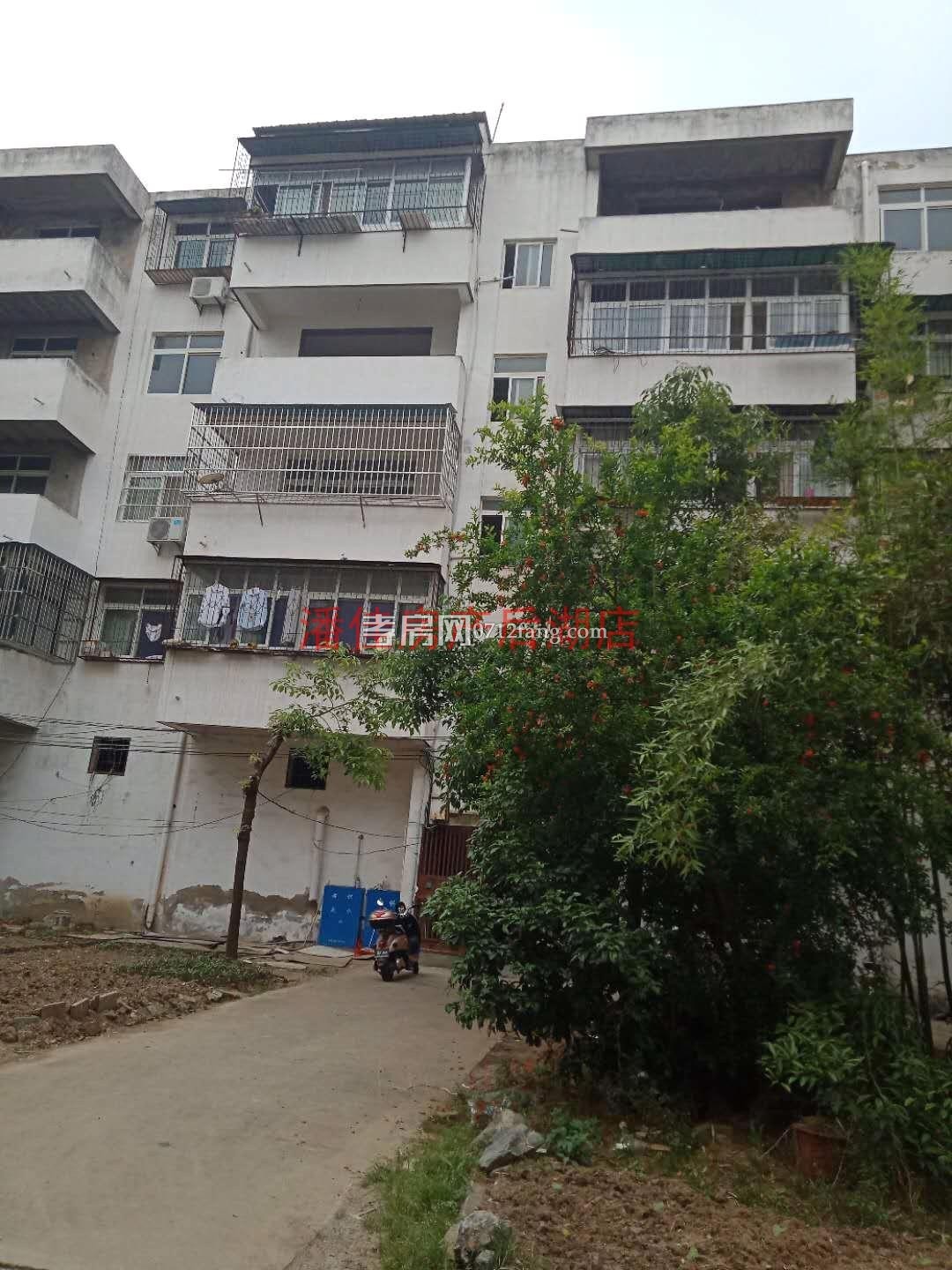 滿二掛口有證出讓地2室2廳1衛(wèi)毛坯111平2600元一平4樓