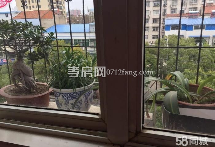 拎包入??！星海嘉園128平米5樓3房，好房急售33.8萬|