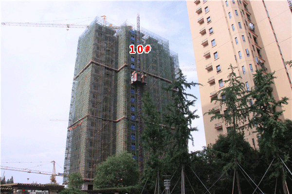 2018060815365529636tkvhyu.gif 10#.gif