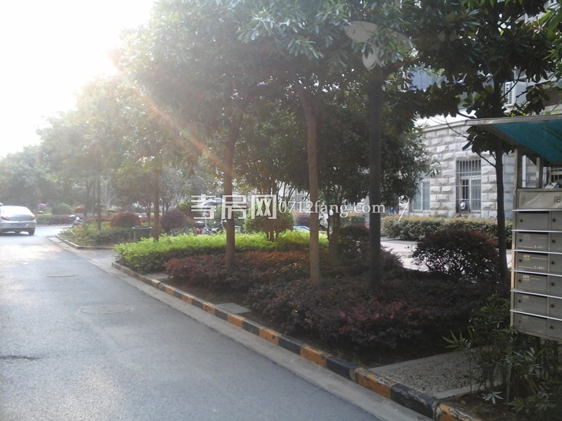 D934西湖明珠陽光宅4/2/2毛坯4/7兩證滿五169平米110萬