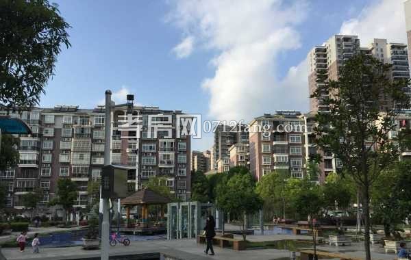 D934 西湖明珠陽光宅 4/2/2 毛坯 4/7 兩證滿五 169平米 110萬