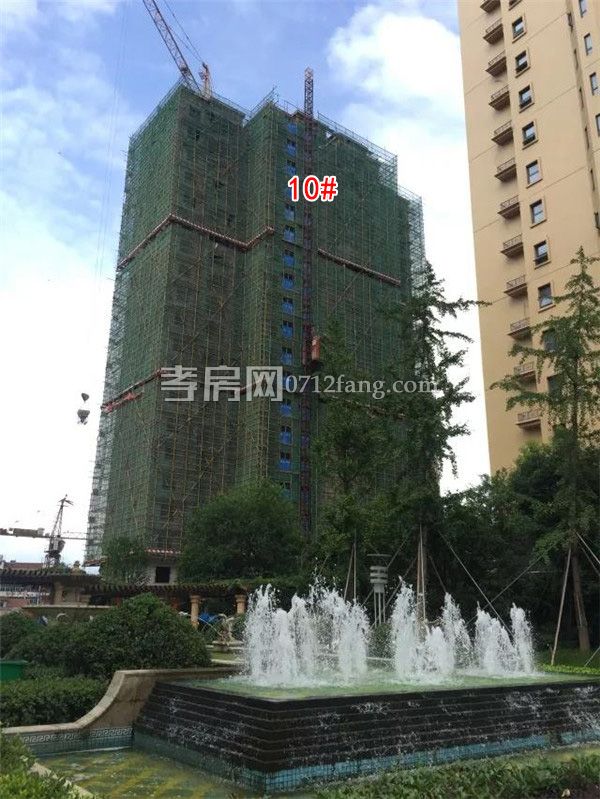 2018070909093642055fujz6i.jpg 1.jpg