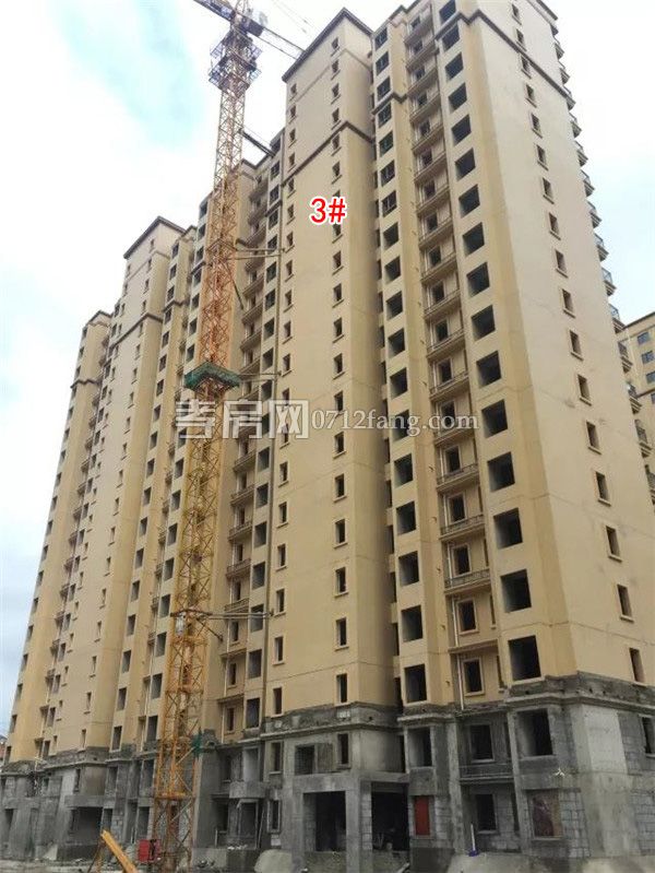 2018070909095836522wacv4b.jpg 4.jpg