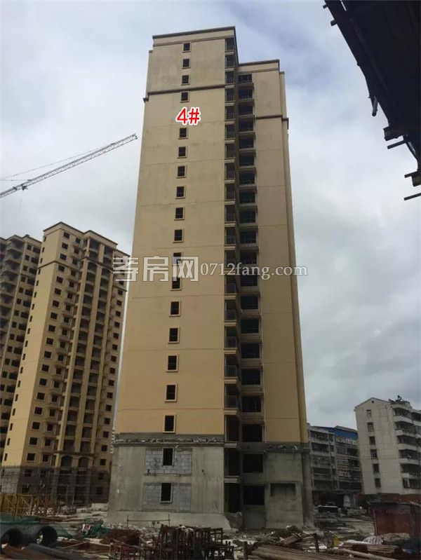 2018070909103215430ngbna4.jpg 5.jpg