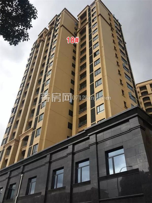 2018070909105378477v818r6.jpg 7.jpg