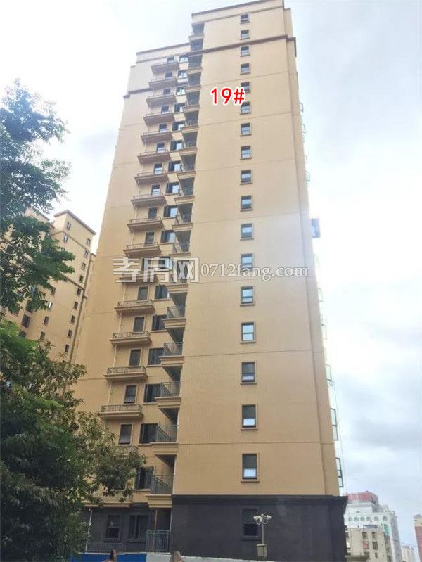 2018070909110182856uluwsc.jpg 8.jpg