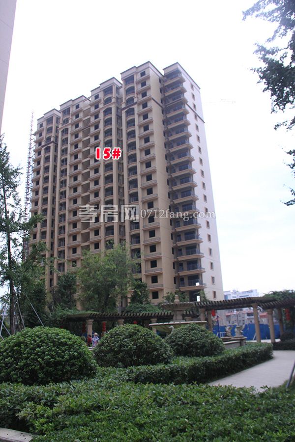 2018080918301343124lkvaty.jpg 15#.jpg