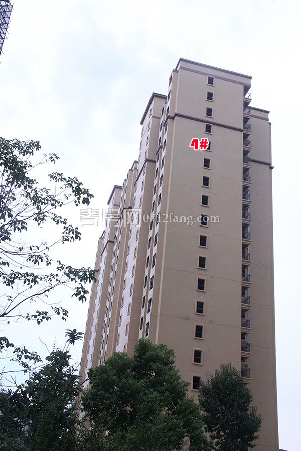 2018080918304388592nhqjwl.jpg 4#.jpg