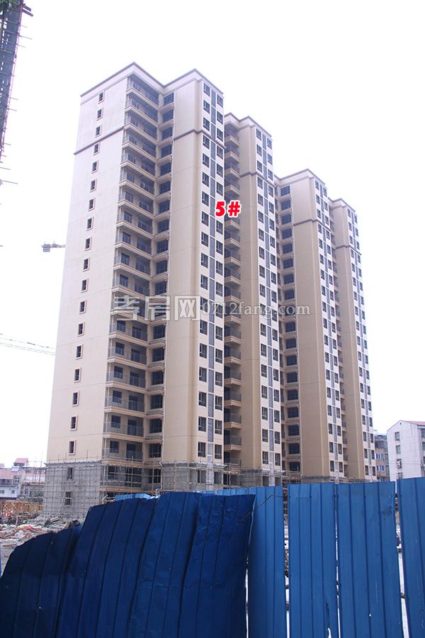 2018080918313193333wvp2ml.jpg 1.jpg