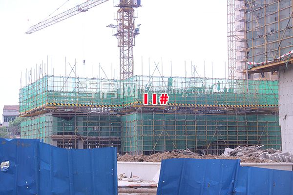 2018080918314457059xehwwo.jpg 11#.jpg