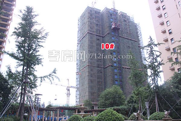 2018080918490168738mgb25j.jpg 10#.jpg