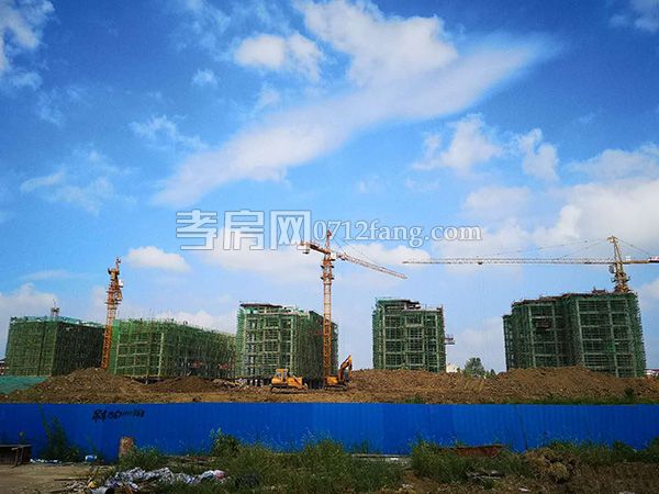 2018081317114369519gcgntc.jpg 1.jpg