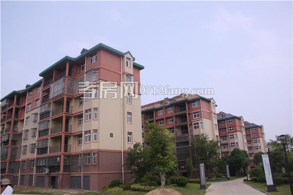 2018082317530626169oltacz.jpg 現(xiàn)房.jpg