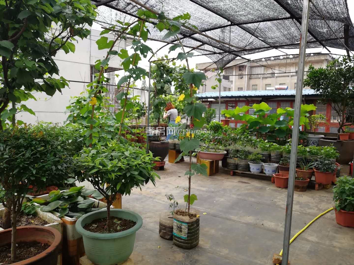 2層 棟帶小院私房，地處北門口大天橋200米處商業(yè) 地段