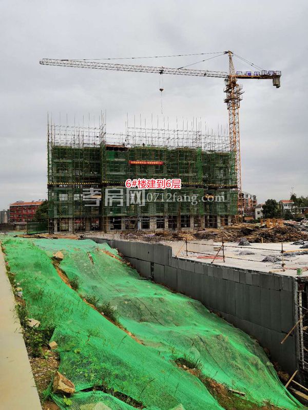 2018090710262058605gdfds7.jpg 微信圖片_20180907101845.jpg