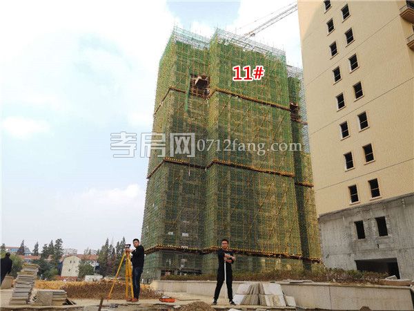 2018101718130620282mumglr.jpg 4.jpg