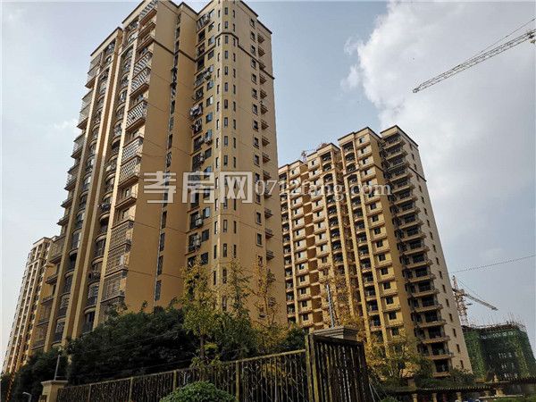 2018101718160796512eeettg.jpg 7.jpg