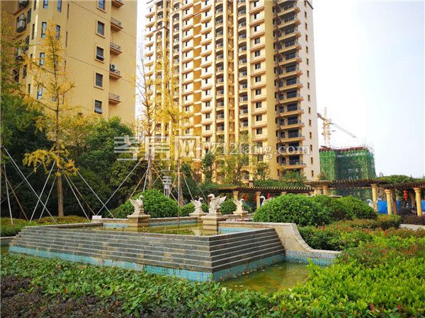 2018101718162453255d3itbp.jpg 6.jpg