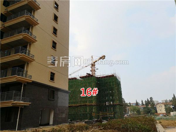 2018101910081620618wgra2m.jpg 1.jpg