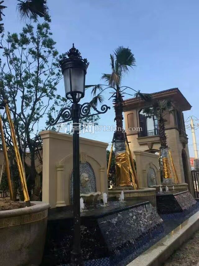 楚霖·鼎觀世界項目實景圖