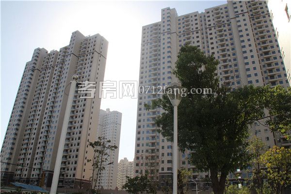 2018102615581359086rut4jh.jpg 實景現(xiàn)房.jpg